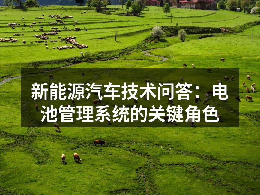 电池管理系统工作原理示意图