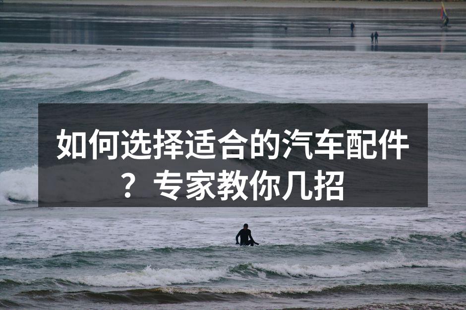 专业汽车配件展示