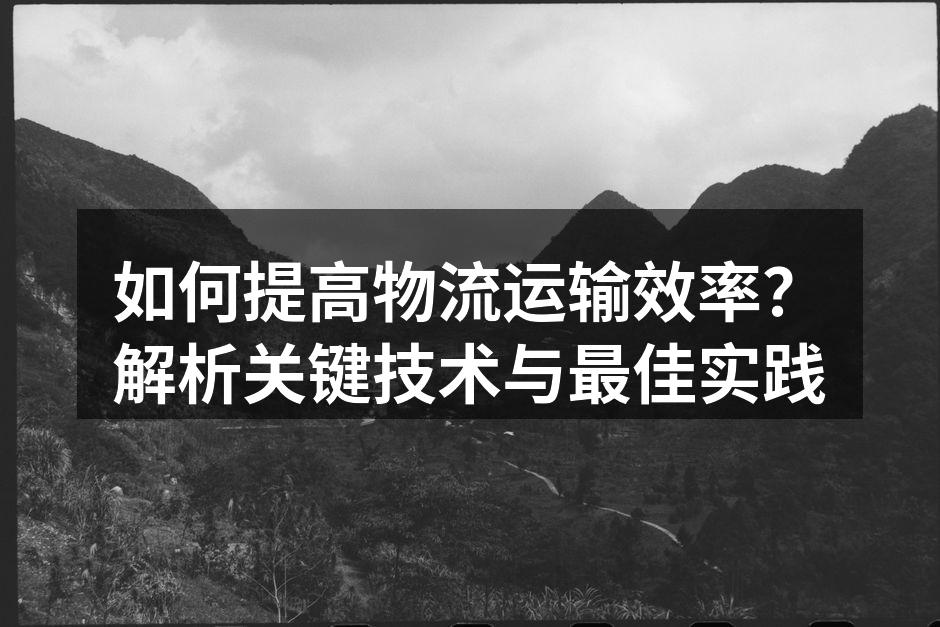 自动化分拣系统提升效率